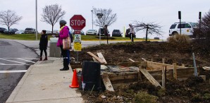 Shelter_Campus_Beautification_Web