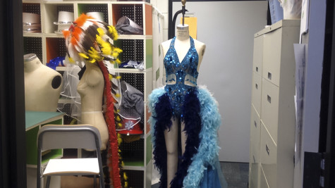 One of the Lady of the Lake costumes from Spamalot. 