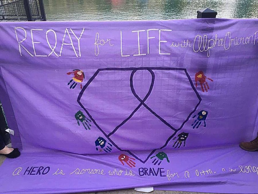 Otten's sorority, Alpha Omicron Pi, made this banner for 2016 Relay for Life. 