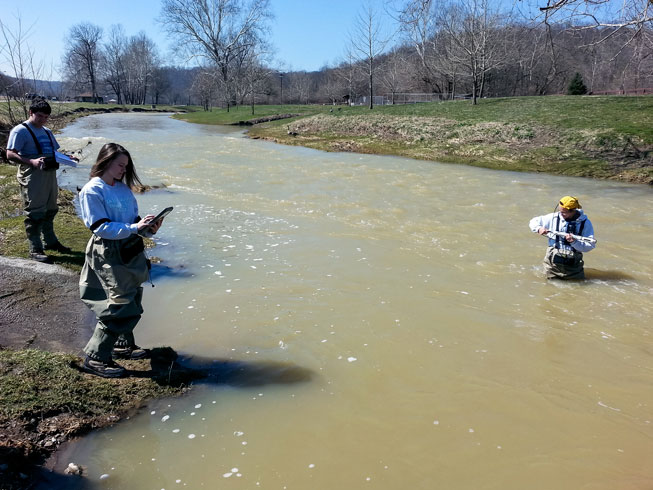 app being used to test water quality