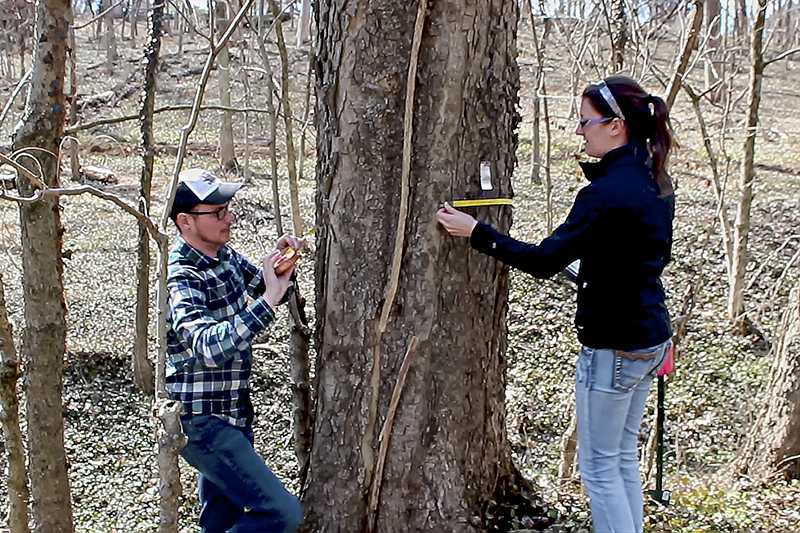 Students channel passion to save local urban forest