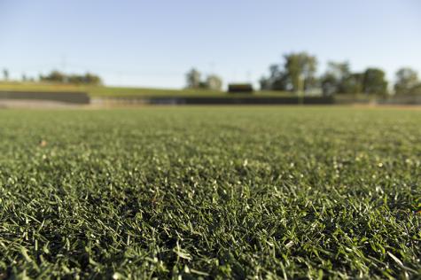 Fake grass brings benefits