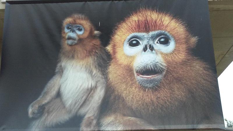 natgeo_Web