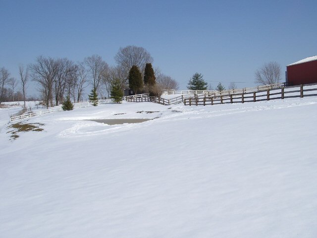 McCoys farm is nestled in Boone County, Kentucky. As the snow begins to fade, McCoy looks forward to getting the farm in gear for springtime and growing produce. 