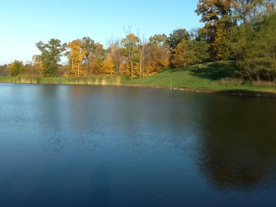 Aside from the two plots of produce at McCoys farm, there is also a pay fishing lake. Locals come to McCoys farm for quality water to fish in. 