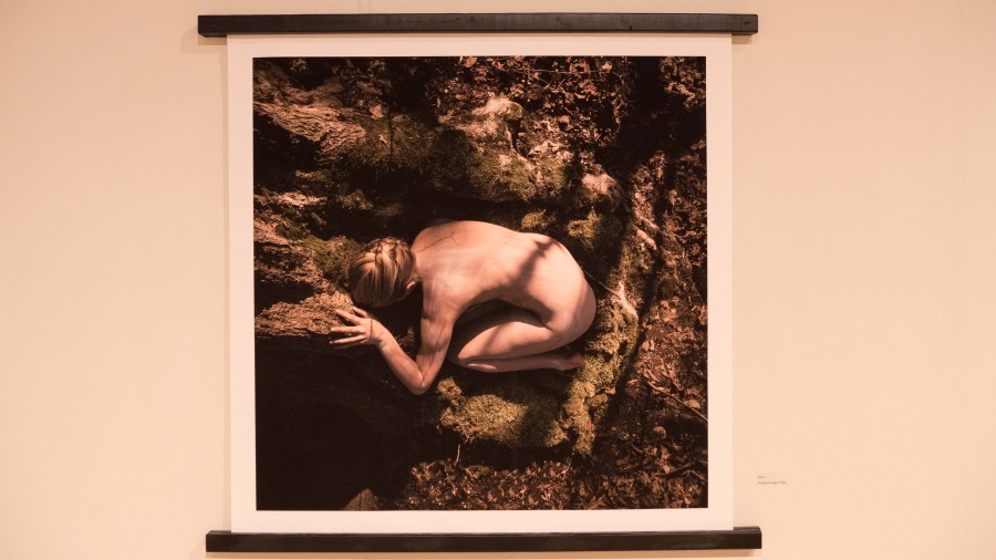 McCarty's photographs reflect her experience with depression. As she got stronger, so did her photographs. 