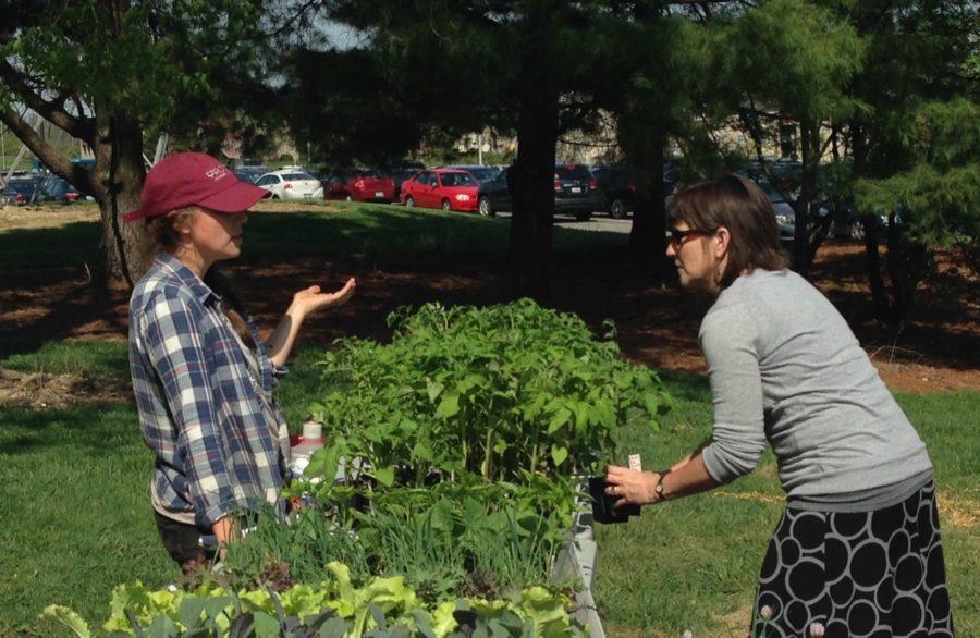 Rosa Michaels, NKU alumni, recently began working at Cincy Sprouts, sustainable starts for farm & garden. Here she sells plants and seedlings grown locally without the use of chemical herbicides, pesticides, or fertilizers.