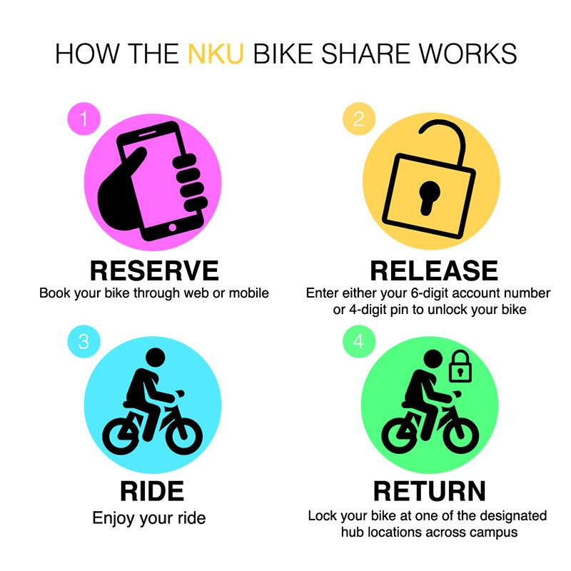 rideshare-inforgraphic copy