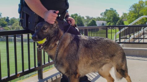 Murray admitted to being wary of taking in Arritt after his previous handler died. Since taking Arritt in, Murray has had no regrets.