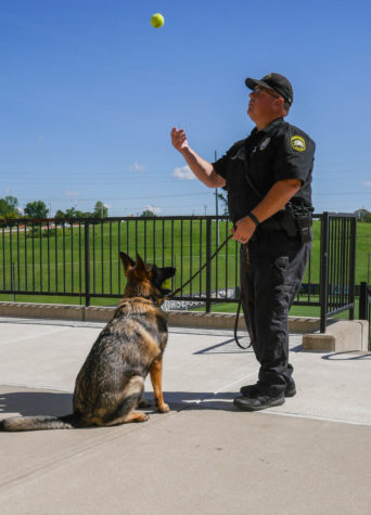 The training comes down to the tennis ball. Murray gets Arritt to sit at attention, holding the tennis ball in the air. 