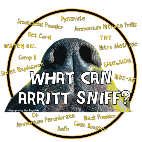 What can Arritt sniff?