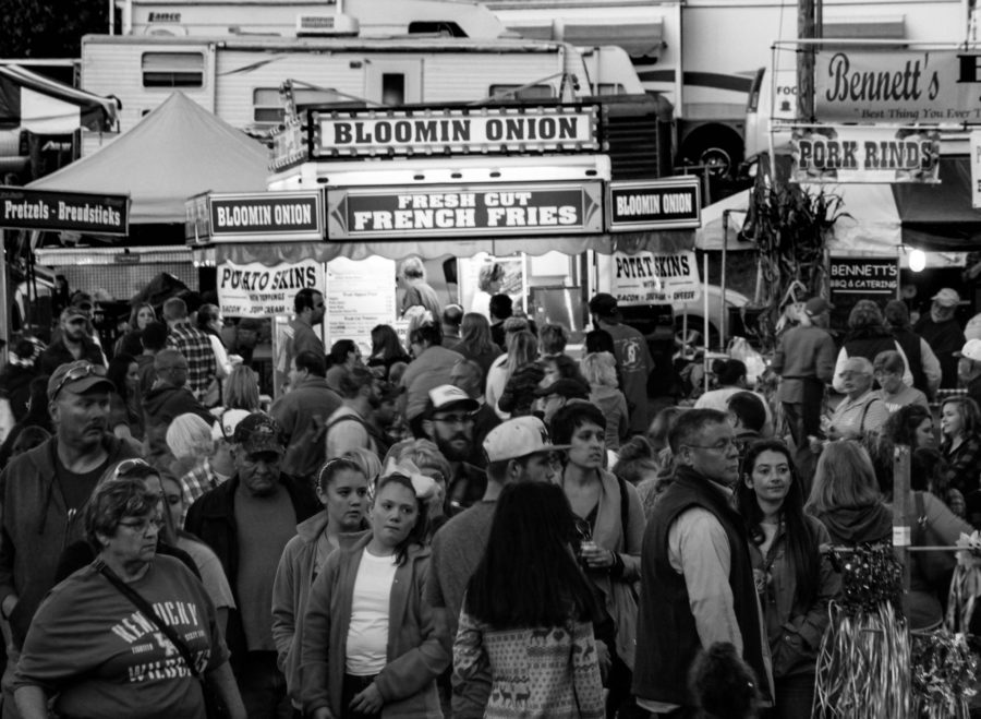 The Kentucky Wool Festival was Oct. 7-9 this year in Falmouth, Kentucky.  The festival has been going on for over 25 years and has a way of bringing all types of people together.