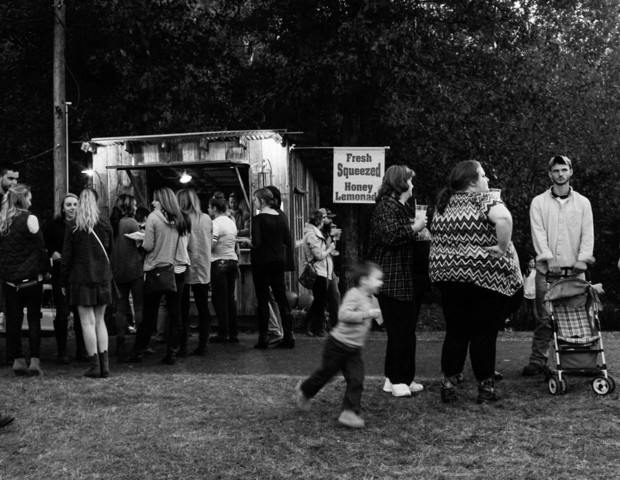 The Kentucky Wool Festival was Oct. 7-9 this year in Falmouth, Kentucky.  The festival has been going on for over 25 years and has a way of bringing all types of people together.