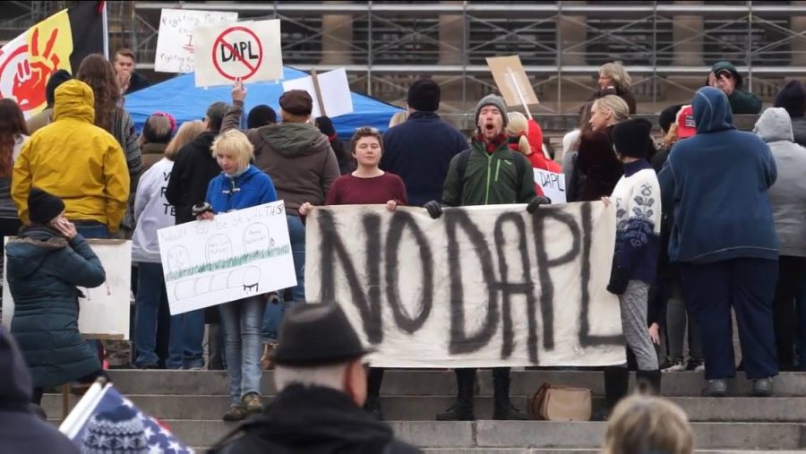 Radcliffe has attended several demonstrations and protests, including the #NODAPL. They said that they considered themselves an activist. 