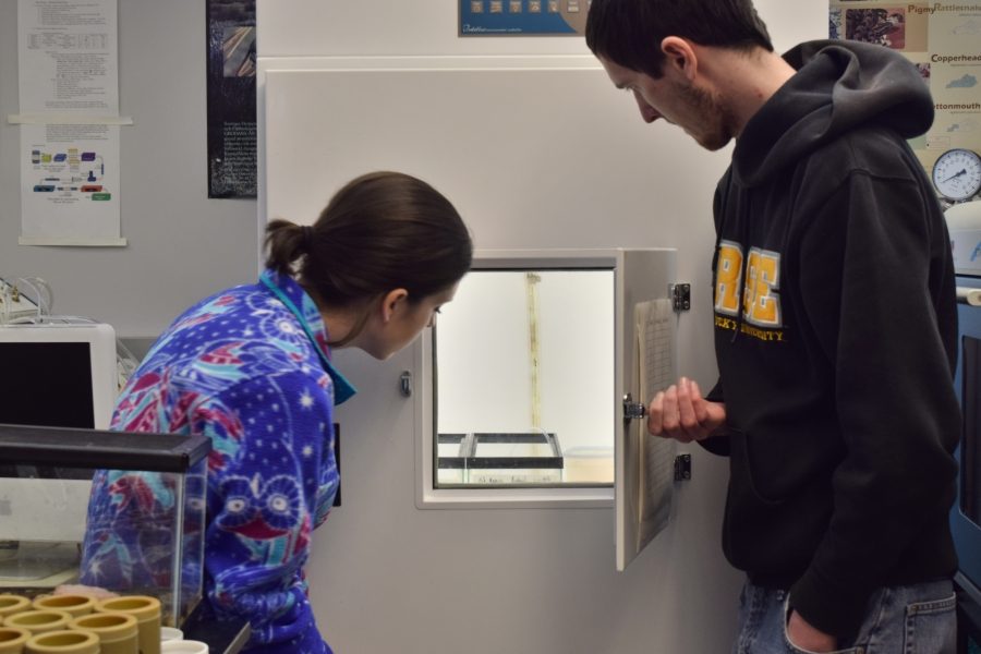 Against the smog: NKU science students, faculty reflect on proposed federal budget cuts