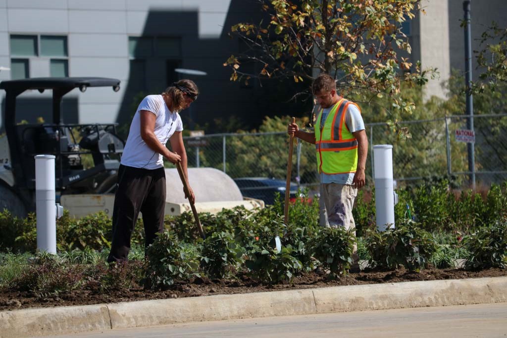 Construction workers planting trees that will one day be large by Lot K. 