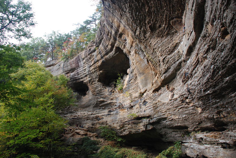 Carlos and friends were camping at Red River Gorge during spring break.