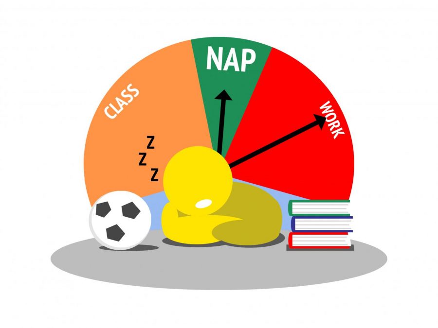 College students need to learn to love naps
