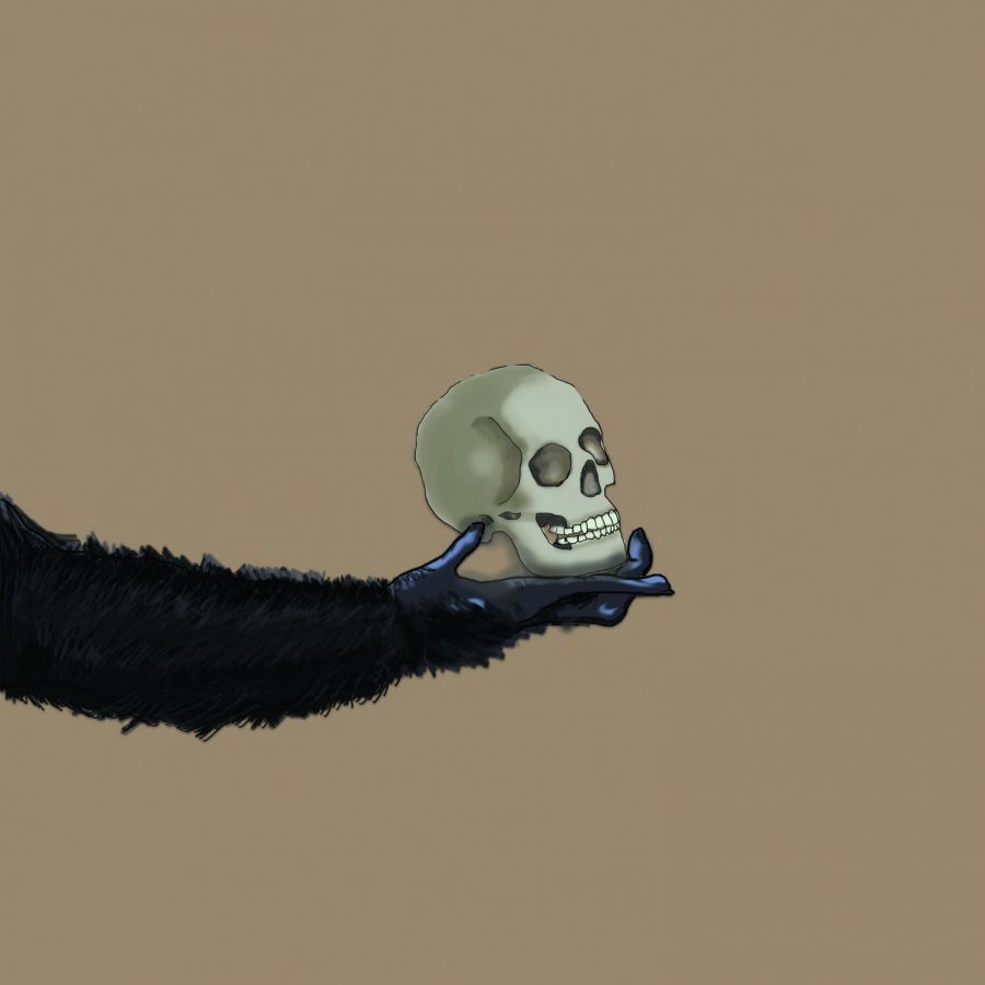 No Bones About It: Evolutionary Studies is Skeletons of Fun