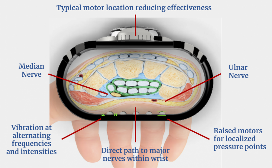 Wrist_Section Veiw