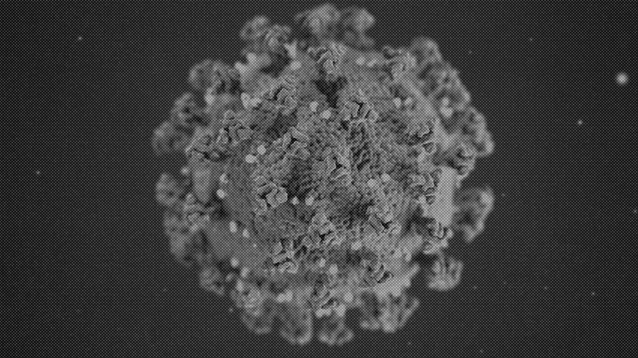 Rendering created by the Center for Disease Control reveals ultrastructural morphology exhibited by coronaviruses. 