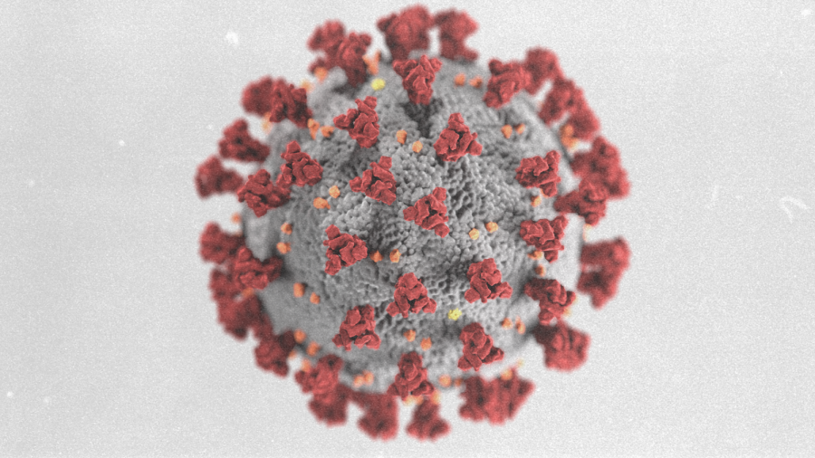 Rendering created by the Center for Disease Control reveals ultrastructural morphology exhibited by coronaviruses. 