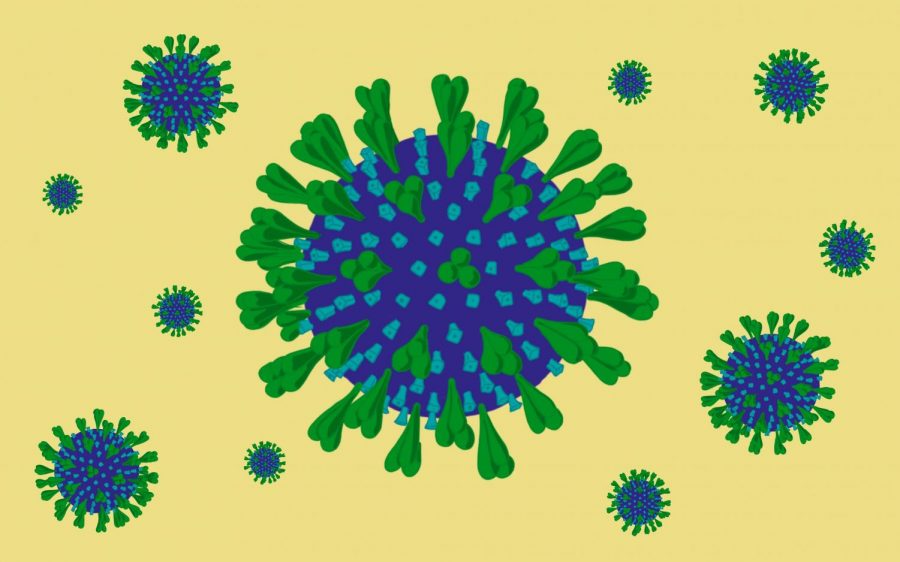 Illustration of the coronavirus. 