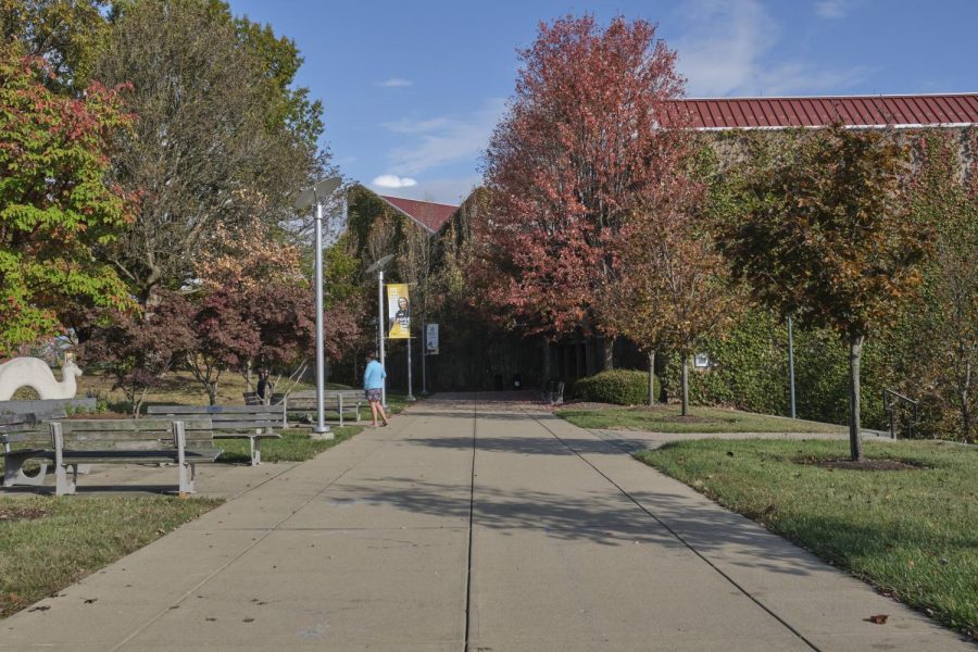 Outside the Fine Arts building during fall.