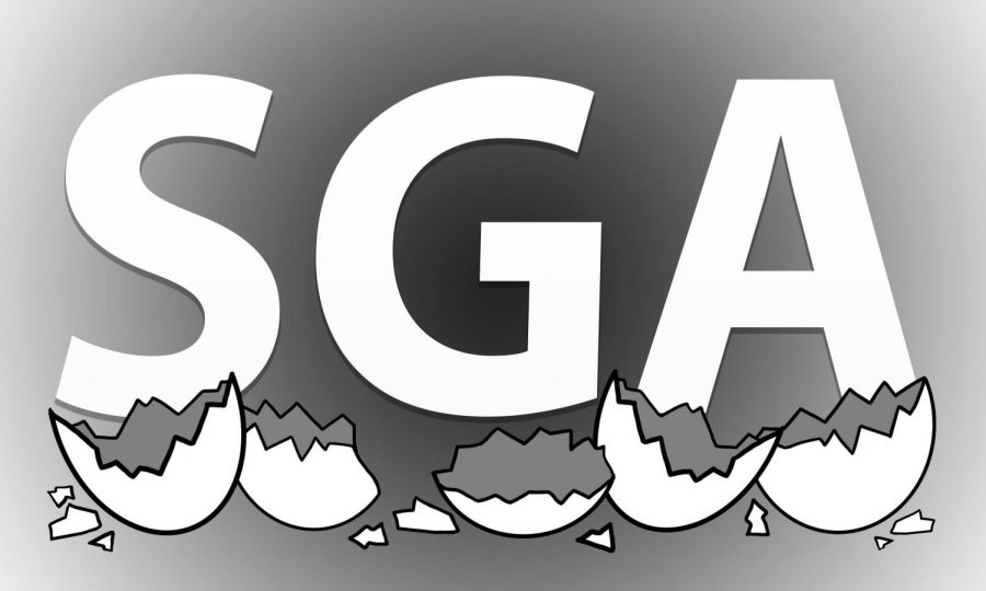 Former+SGA+senators+El+Goebel+and+Xavier+Sullivan+discuss+their+experience+in+SGA.+Goebel+described+their+experience+as+walking+on+eggshells+around+certain+members.