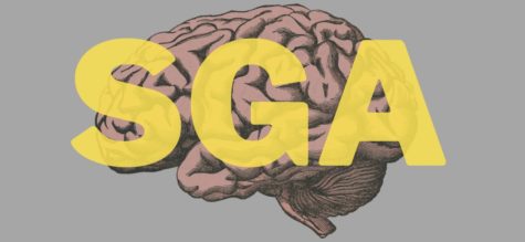Picture of a brain with the letters S G A over top in yellow, fading lettering. Gray background. Landscape style.