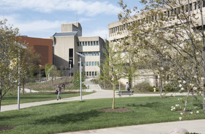 US News and World Report ranks NKU’s master’s program third in the state