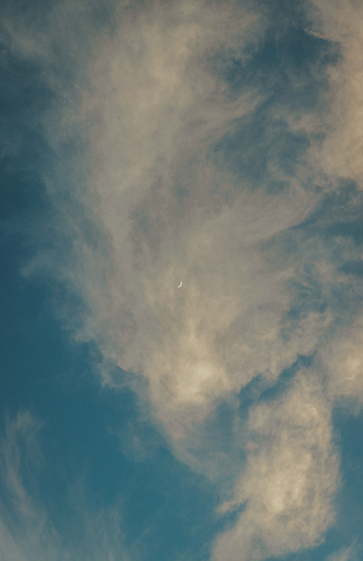 Hannah Wentzel's photo "Dreaming."