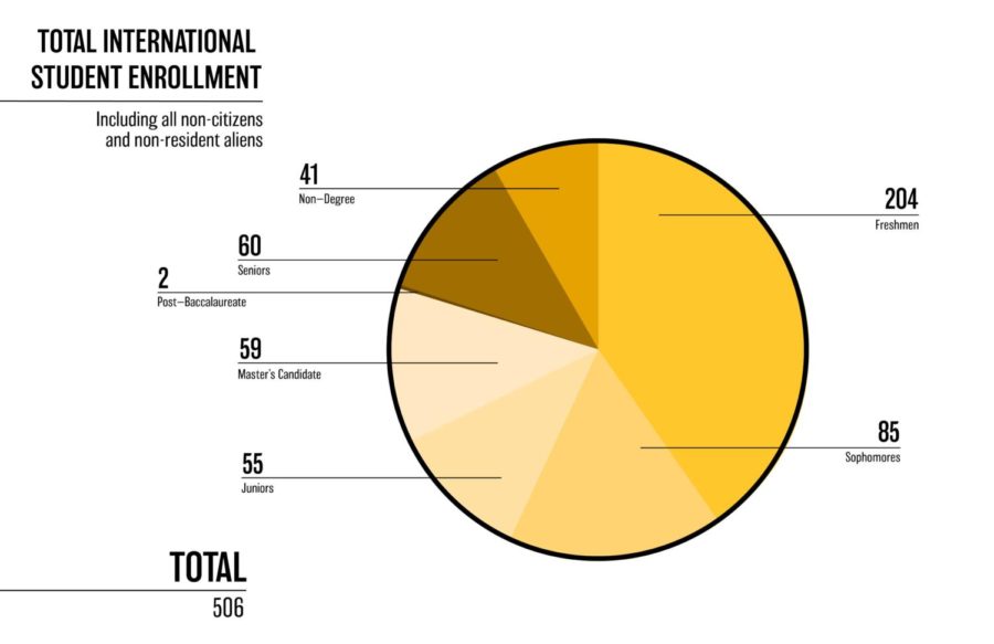 506 total international students make up NKUs student population, with the largest portion being first-year students.