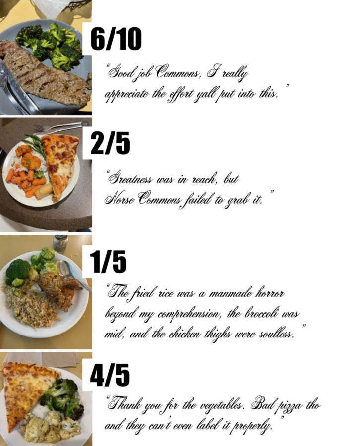The reviewer posts photos of their food plates captioned with earnest reviews and ratings of the meal.