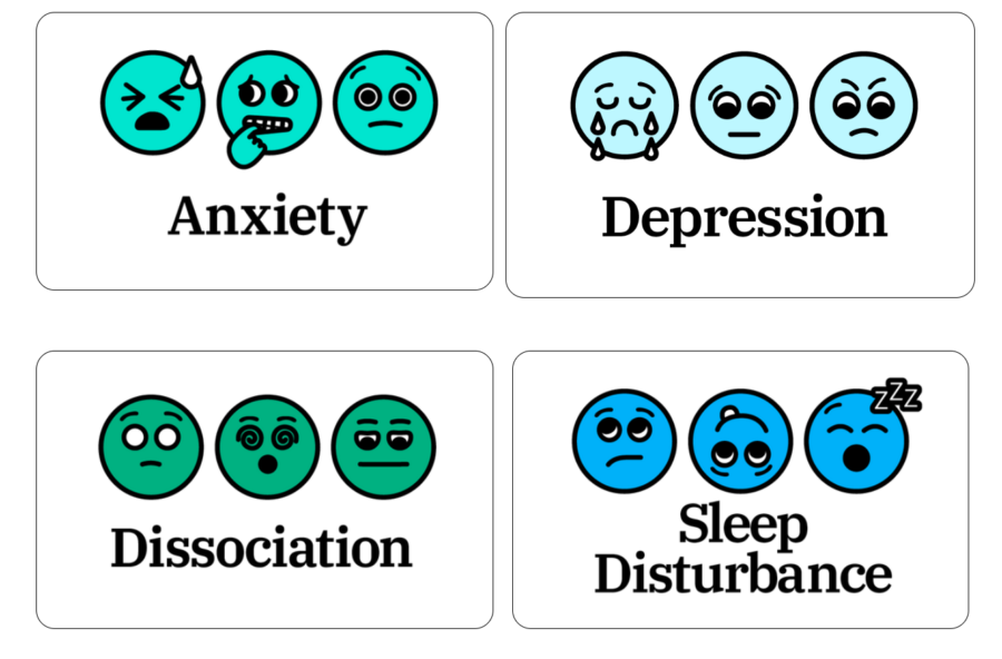 Snapshot+of+the+Mental+Health+Warriors+webpage.