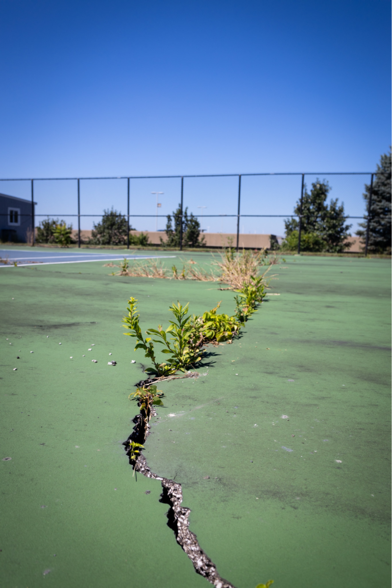 Cracks in the tennis court.