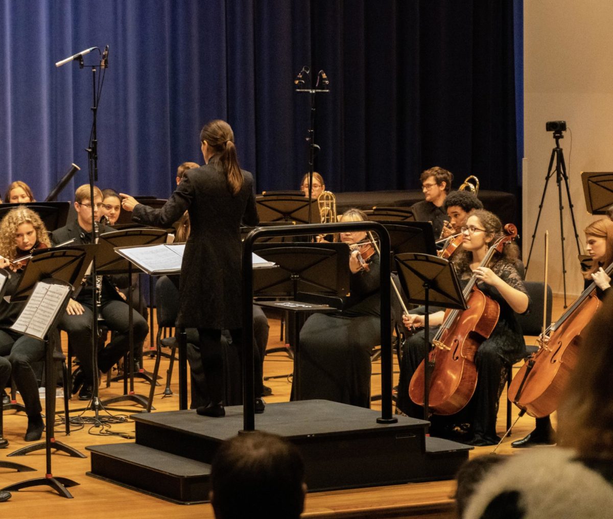 Philharmonic Orchestra held their first sensory-friendly concert in Greaves Concert Hall on Thursday evening. 