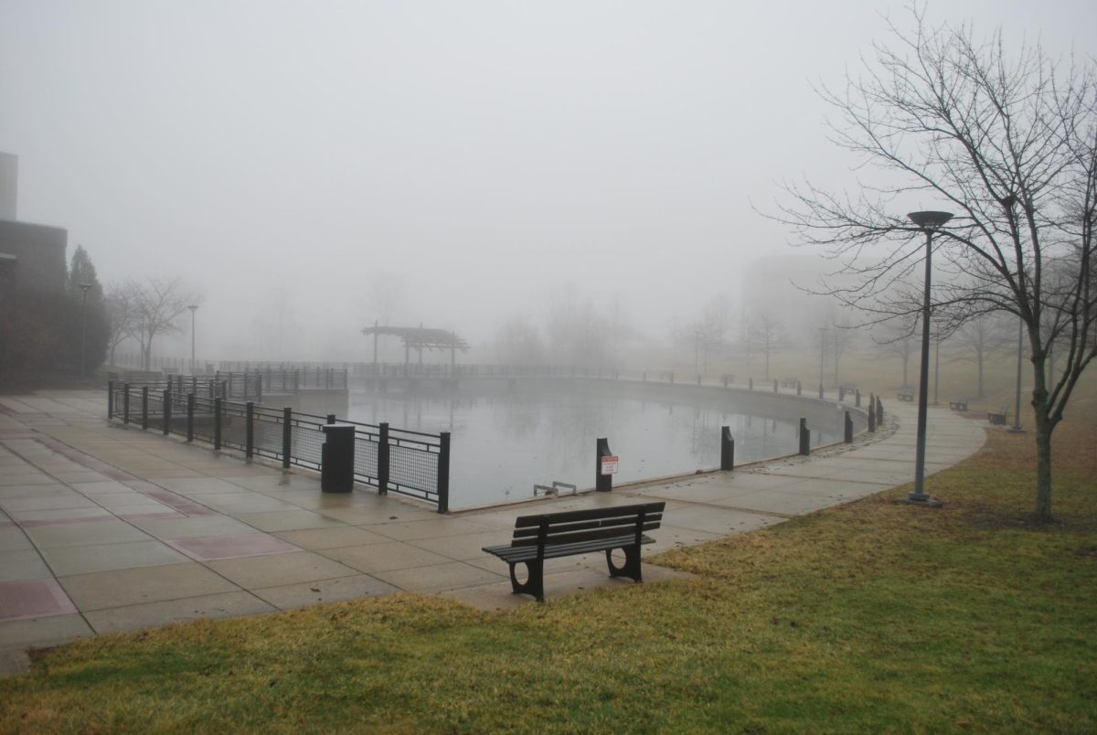 PHOTOS: Fog covers campus on Thursday