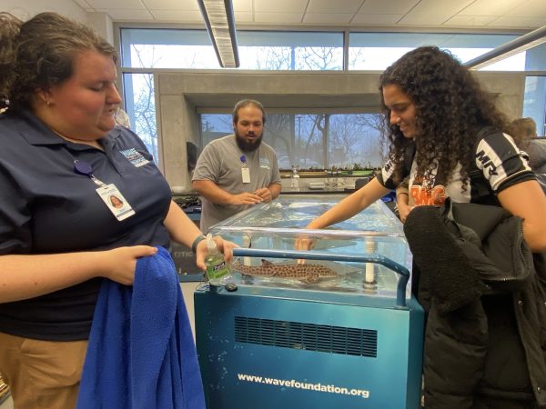 A student touching the cat coral shark, while Wave Foundation employees explain their texture.