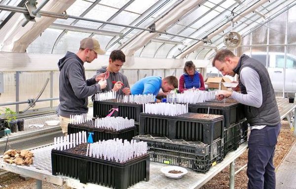 Research team members work in a greenhouse on site. (Provided)