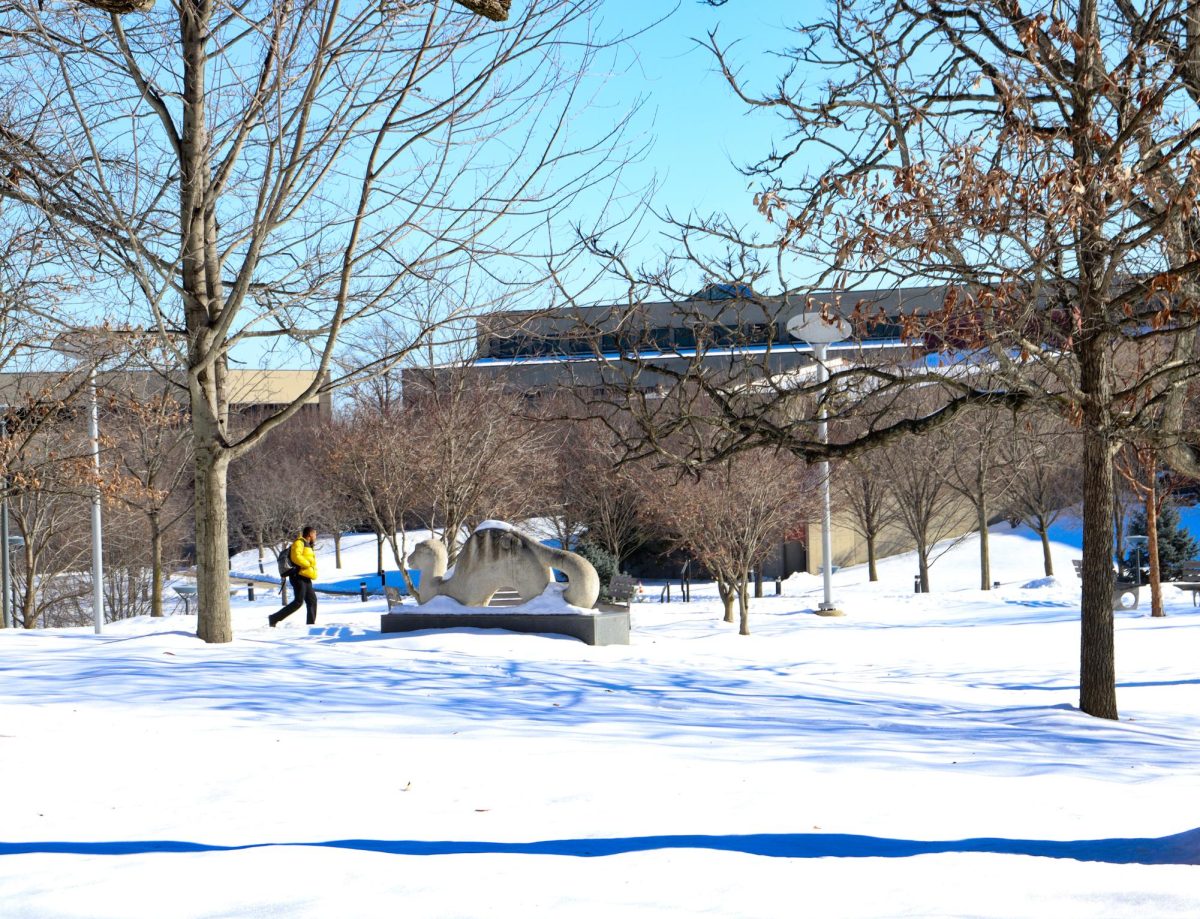 Northern Kentucky amassed more than 10 inches of snow over the course of the last week.