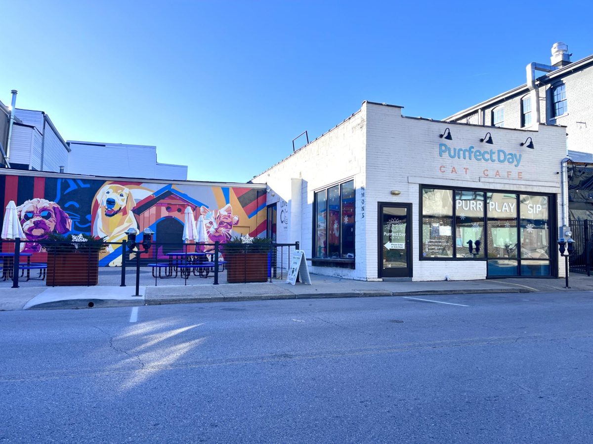 Purrfect Day Cat Cafe, Purr, Play and Sip. 