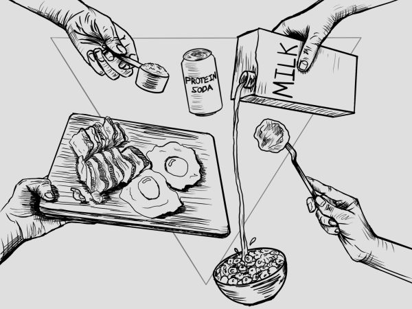 The Protein Push: Why is protein so popular now?
